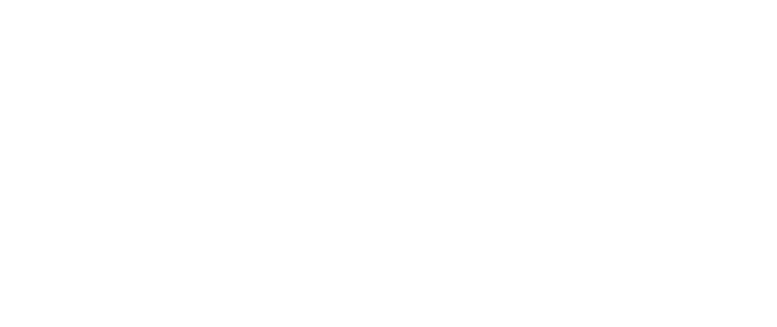 NinePay white logo